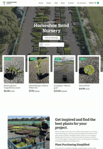 Succulent plants for sale native plants nursery outdoor garden plants plant shop online garden plants sale raw plants Australian plant nursery geelong melbourne outdoor plants nursery online plant store.