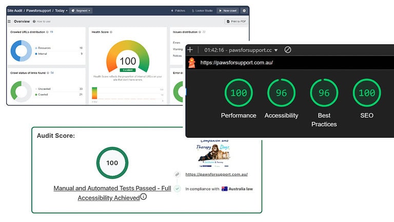Website audit showing perfect performance and accessibility scores
