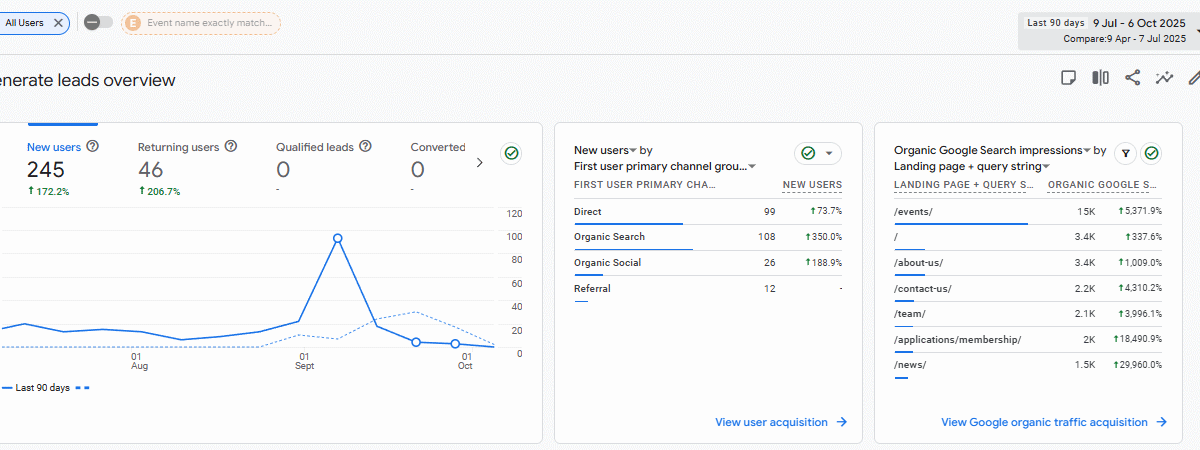 Analytics dashboard showing user and lead statistics.