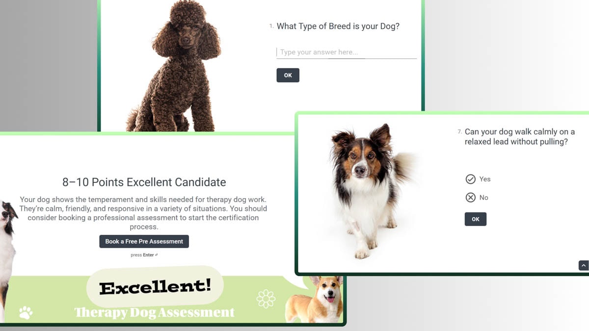 Therapy dog assessment quiz with dogs and results
