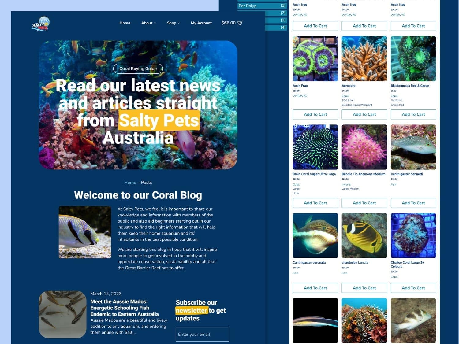 salty pets brighter website design (6)