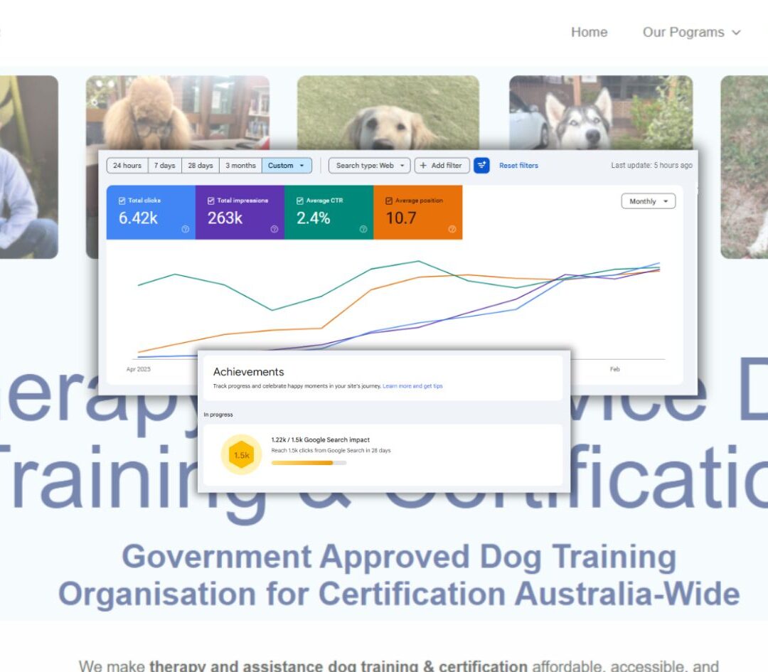 WordPress SEO case study showing 6.4K clicks and 263K impressions growth in Google Search Console for Paws For Support