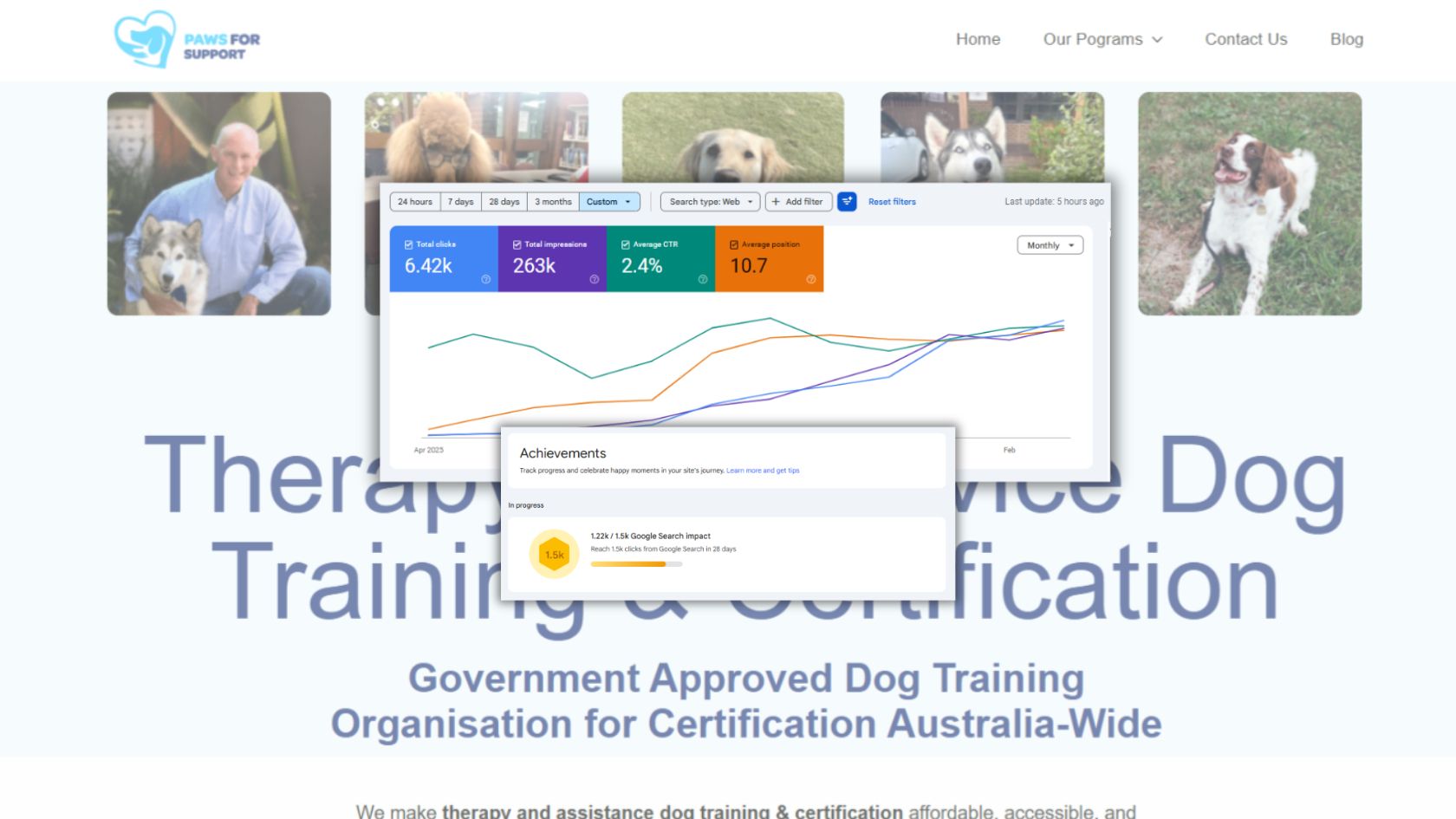 WordPress SEO case study showing 6.4K clicks and 263K impressions growth in Google Search Console for Paws For Support